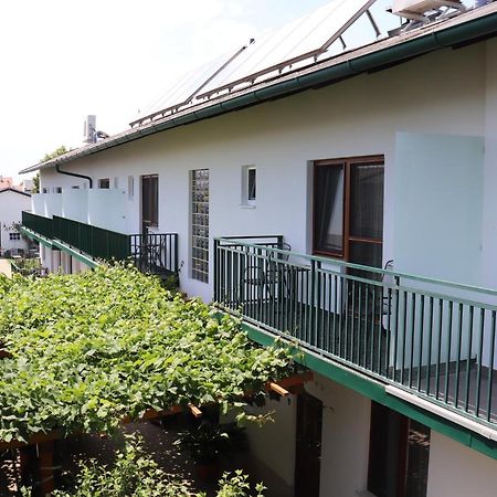 Pension Daniela Steiner Подерсдорф-ам-Зе Экстерьер фото