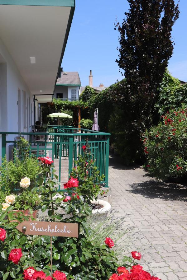 Pension Daniela Steiner Подерсдорф-ам-Зе Экстерьер фото